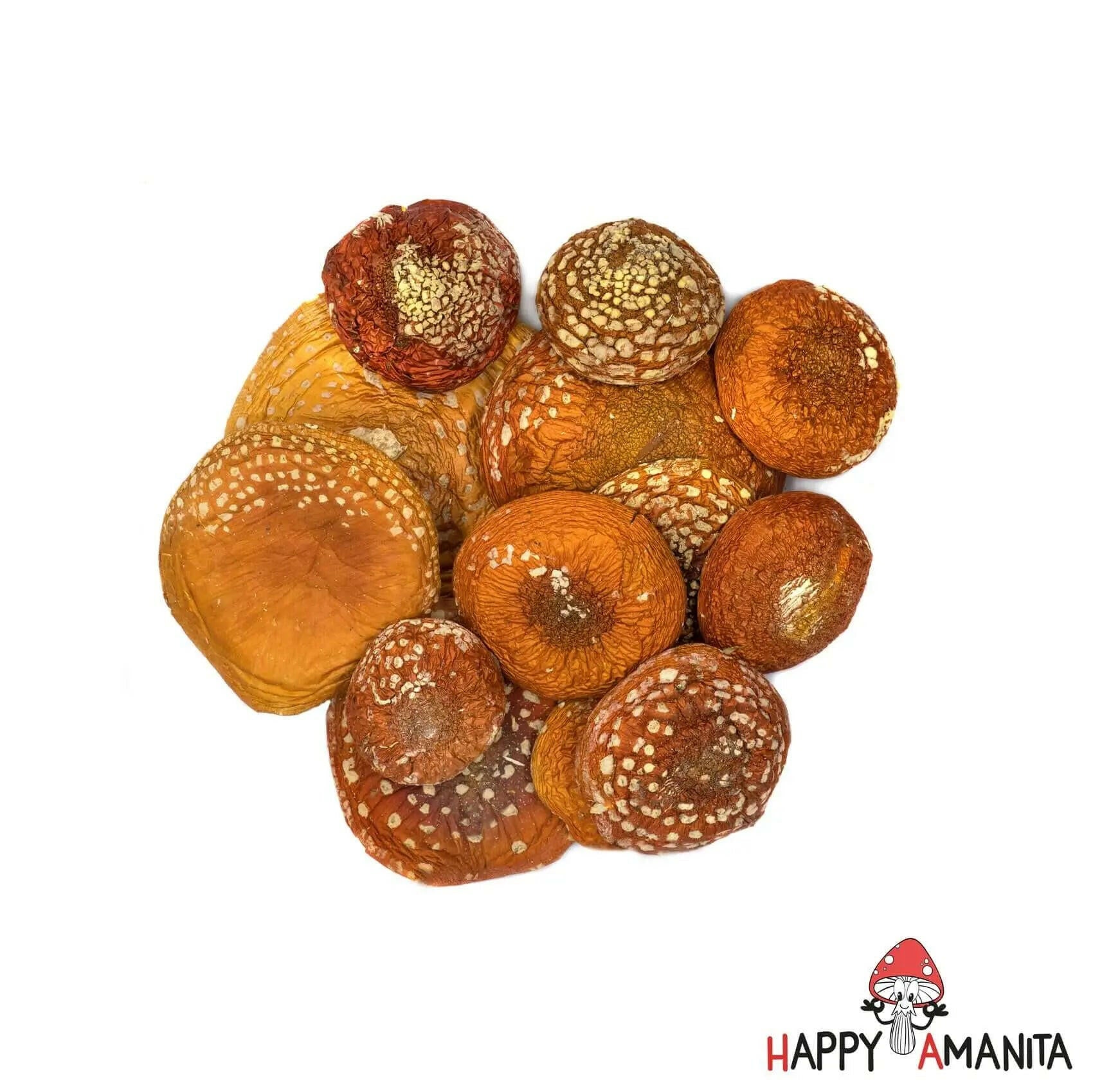 Dried Amanita Muscaria Caps 100g (3.5oz) - HappyAmanita Perfect for Easter 2024